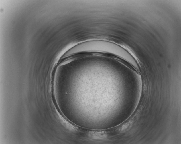 X0000087421143200704271731