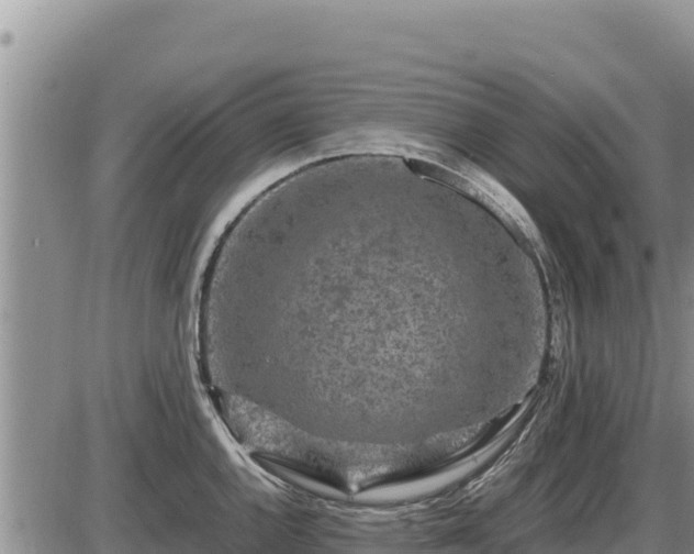 X0000087421144200704271731