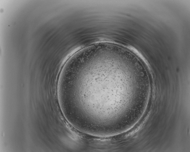 X0000087421145200704271731