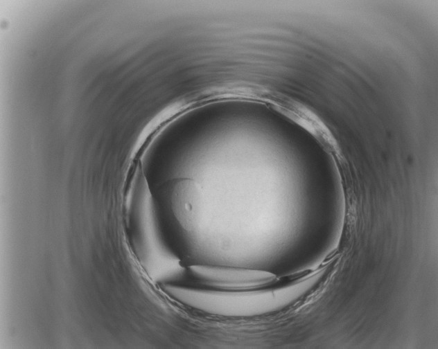 X0000087421146200704271731