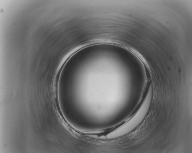 X0000087421148200704271731