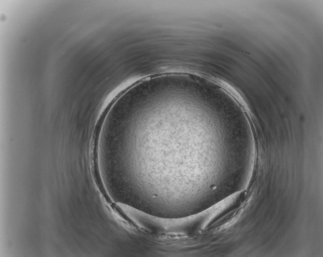 X0000087421149200704271731