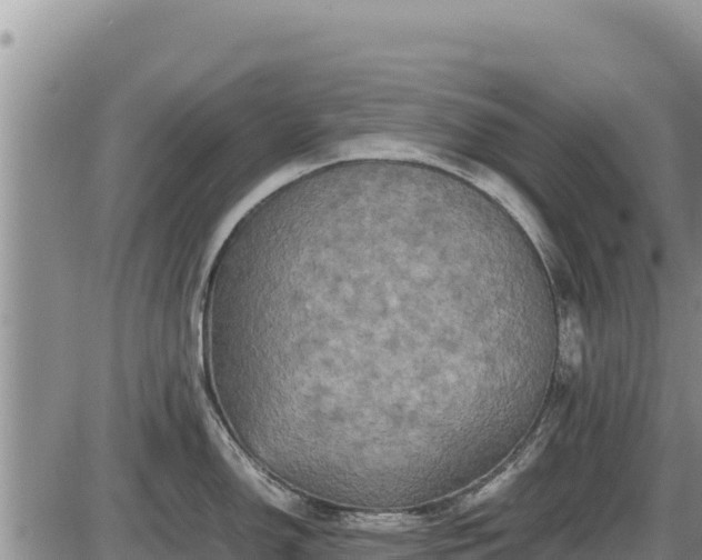 X0000087421150200704271731