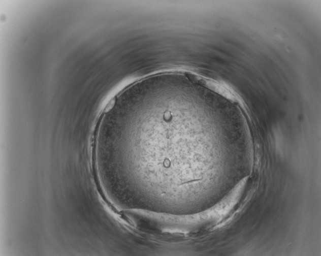 X0000087421151200704271731