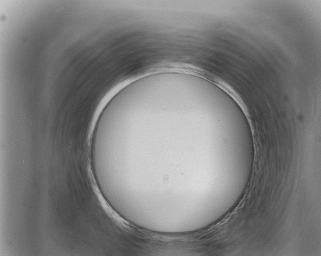 X0000087421152200704271731