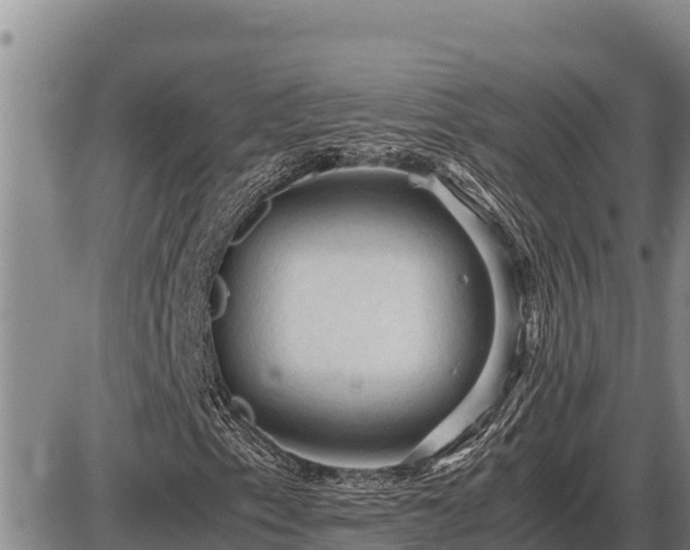 X0000087421153200704271730