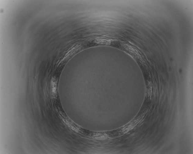 X0000087421154200704271730