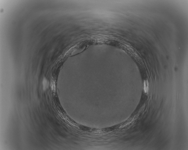 X0000087421155200704271730