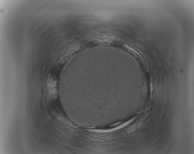 X0000087421156200704271730