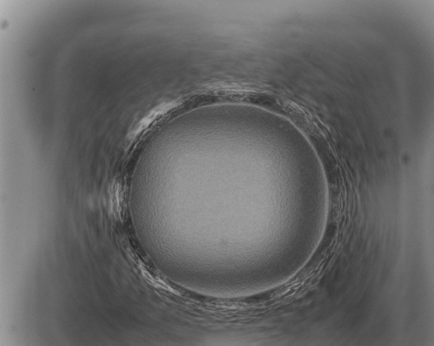 X0000087421157200704271730