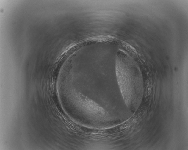 X0000087421158200704271730