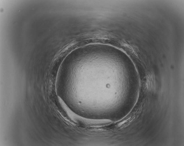 X0000087421159200704271730