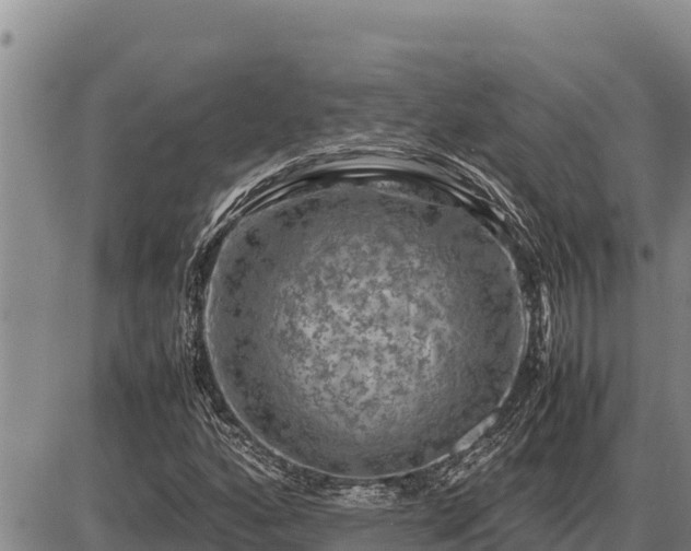 X0000087421160200704271730