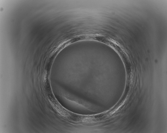 X0000087421161200704271730