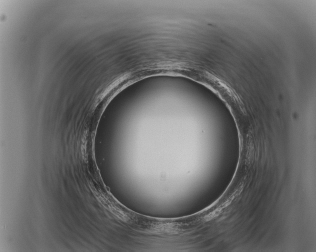 X0000087421162200704271730