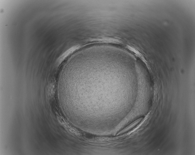 X0000087421163200704271730