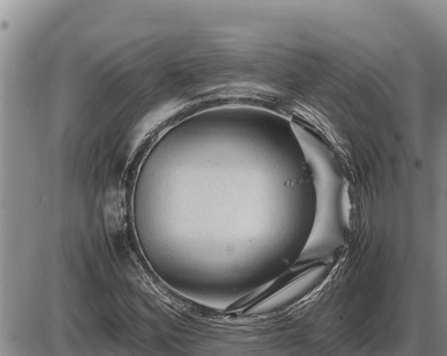 X0000087421164200704271730