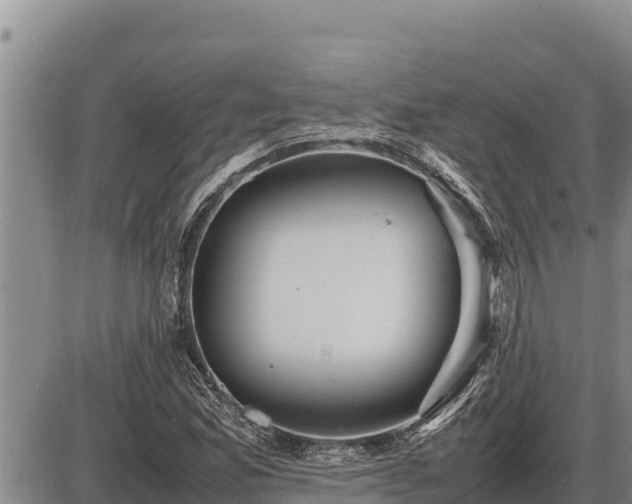 X0000087421165200704271730