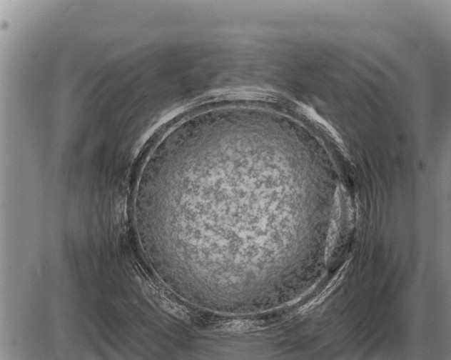 X0000087421166200704271730