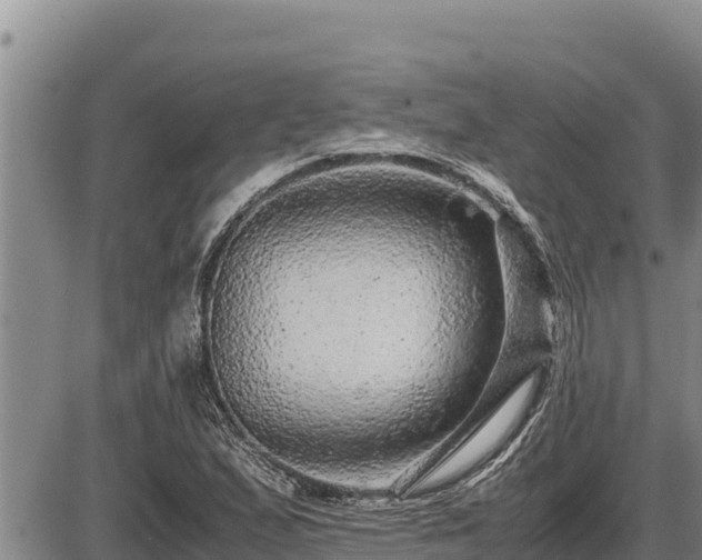 X0000087421167200704271730