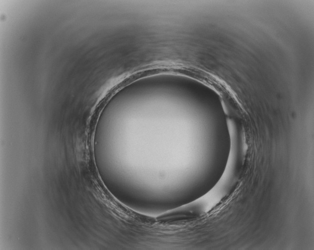 X0000087421168200704271730