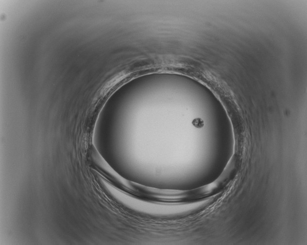 X0000087421169200704271730