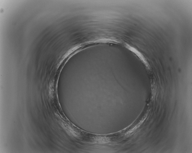 X0000087421170200704271730