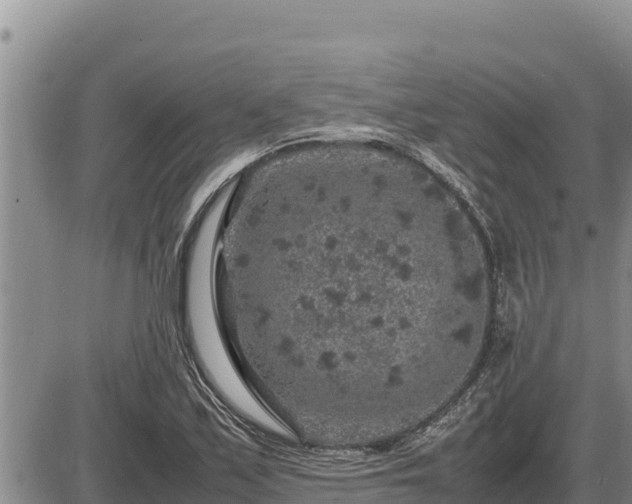 X0000087421171200704271730