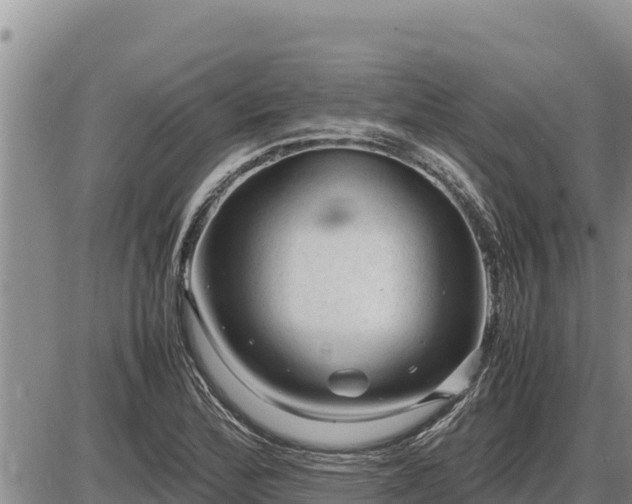 X0000087421172200704271730