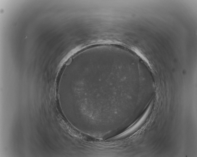 X0000087421173200704271730