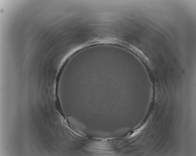 X0000087421174200704271730