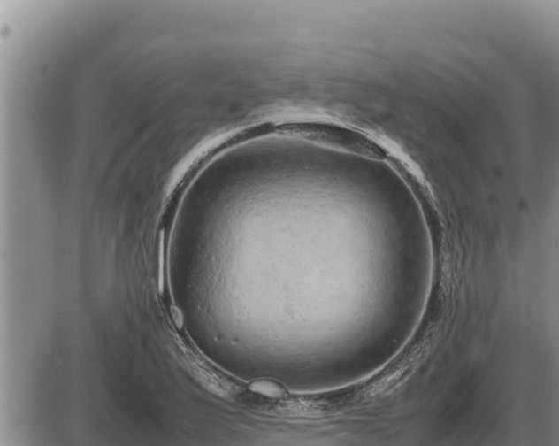 X0000087421175200704271730