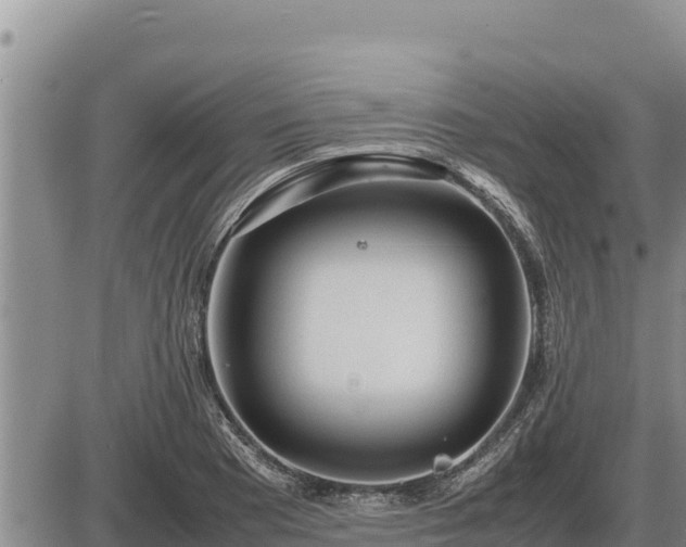 X0000087421177200704271730