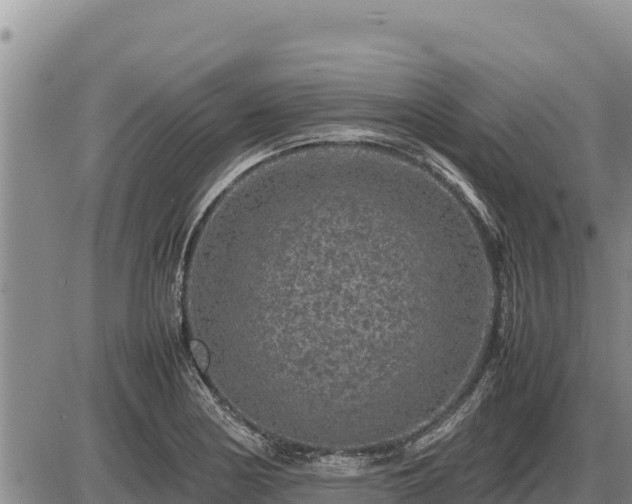 X0000087421178200704271730