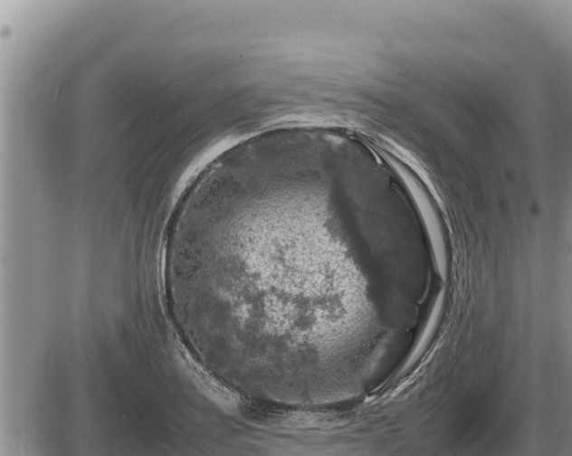 X0000087421179200704271729