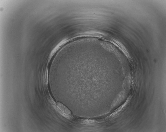 X0000087421180200704271729