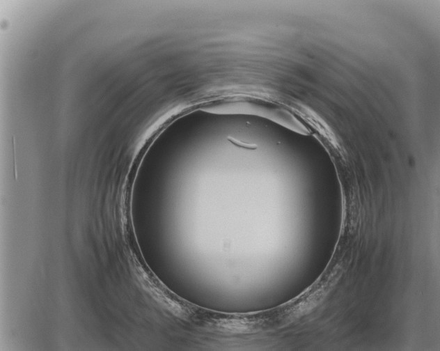 X0000087421182200704271729