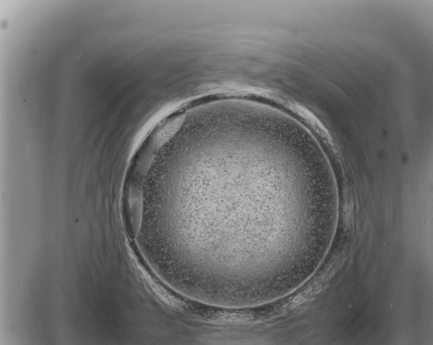 X0000087421183200704271729