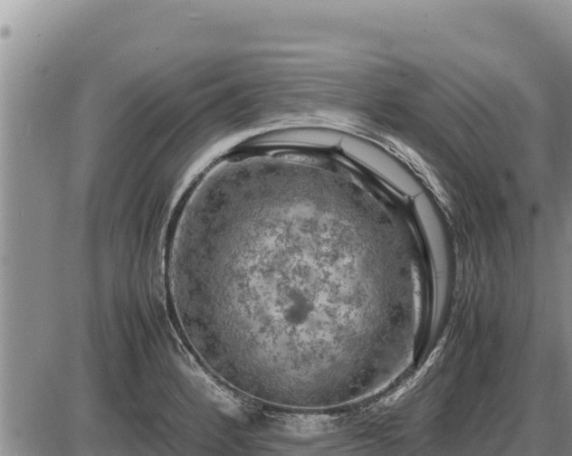 X0000087421184200704271729