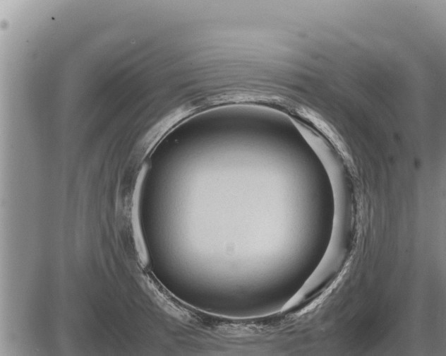 X0000087421185200704271729