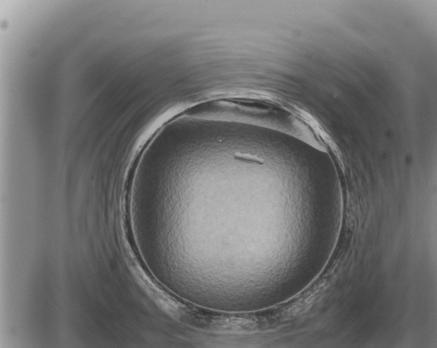 X0000087421187200704271729