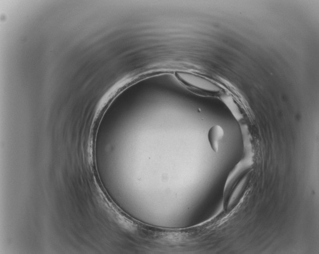 X0000087421188200704271729