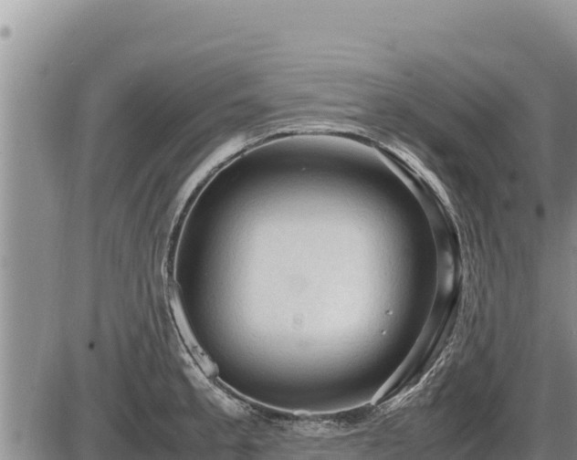 X0000087421189200704271729