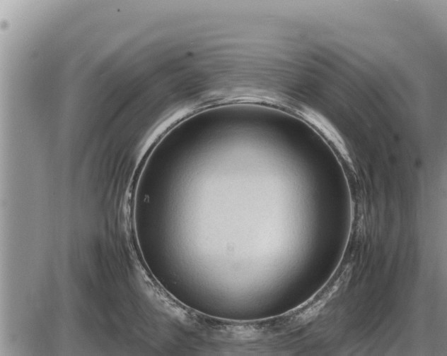 X0000087421190200704271729