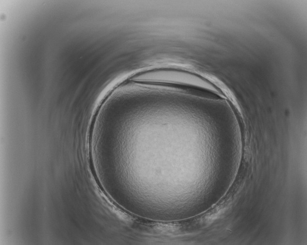 X0000087421191200704271729