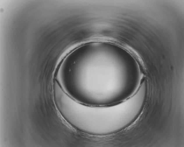 X0000087421192200704271729