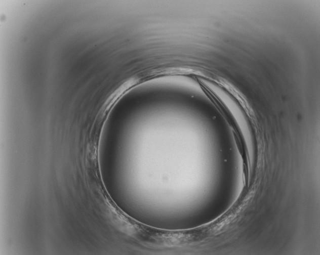 X0000087421193200704271729