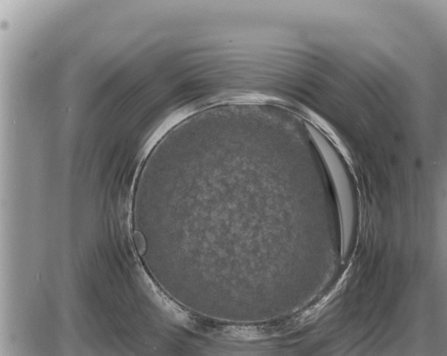 X0000087421194200704271729