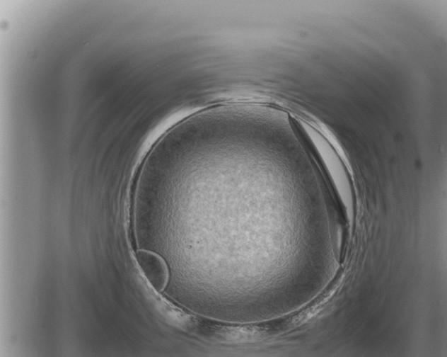 X0000087421195200704271729