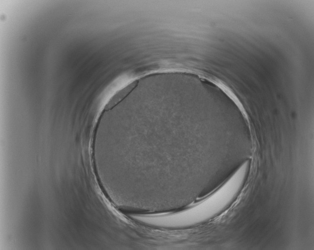 X0000087421197200704271729